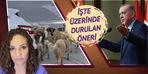 İşte sokak köpekleri için önerilen tüyo!  Erdoğan'ın tepkisi...