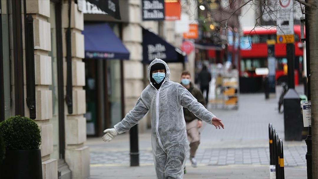 Kuş gribi uyarısı: H5N5 virüsü dünyada ilk kez öldürüldü! 2
