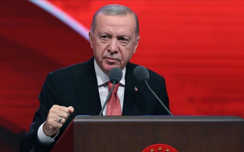 Cumhurbaşkanı Erdoğan'dan Büyük Taarruz'un 104'üncü yıl dönümüne ilişkin paylaşım
