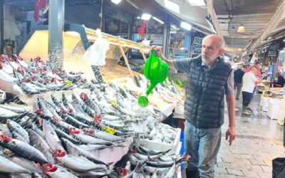 Tezgahların şampiyonu oldu, tanesi 100 lira. Bu yıl bolluk yaşanıyor